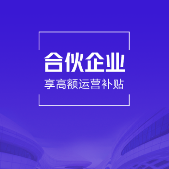 全國企稅一般納稅人代理記賬（合伙企業(yè)1年版）